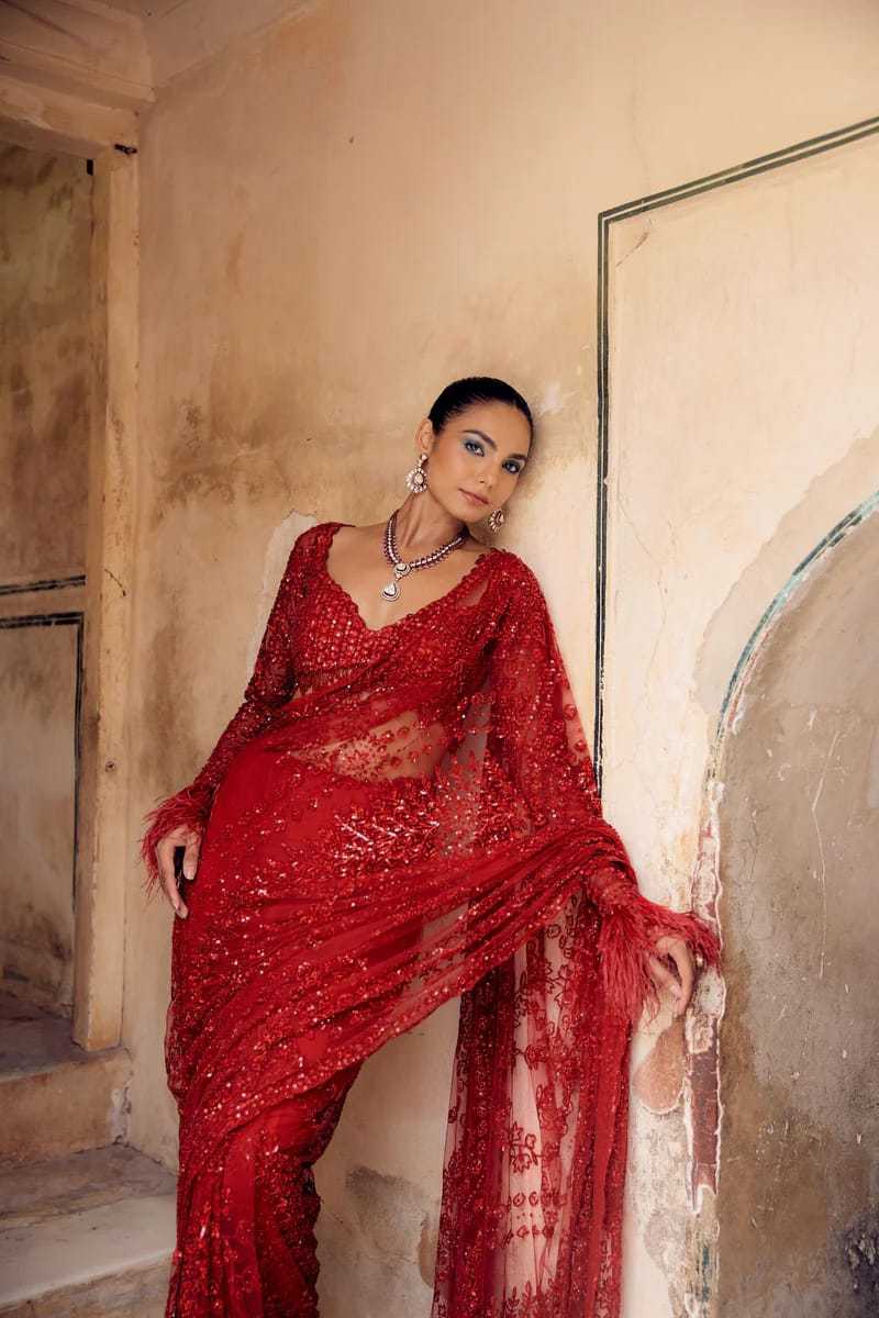 Butterfly Net Sequence Saree