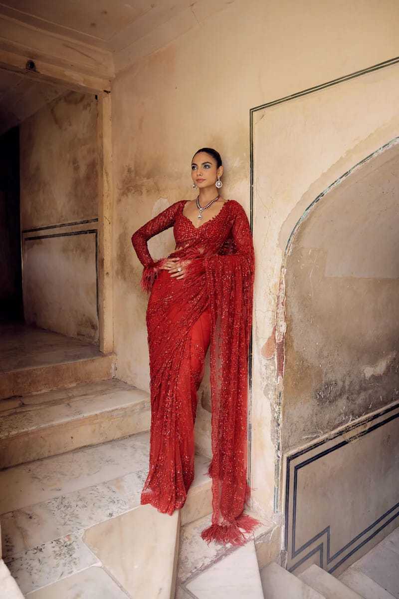 Butterfly Net Sequence Saree