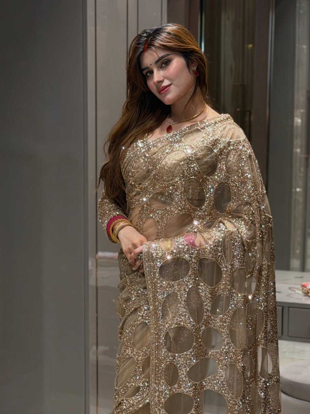 Butterfly Net Sequence Saree
