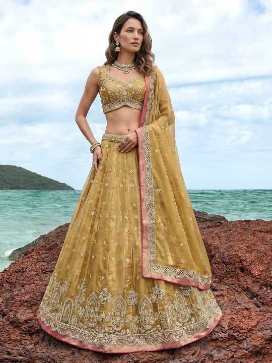 Tissue Embroidered Lehenga