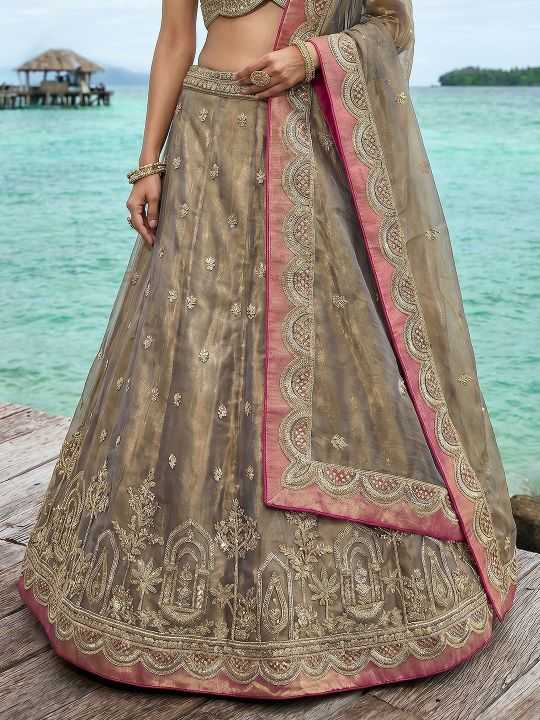 Tissue Embroidered Lehenga