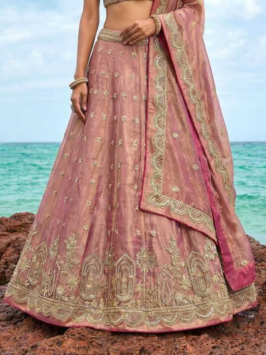 Tissue Embroidered Lehenga