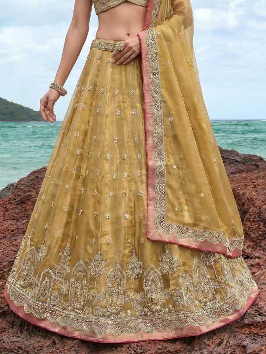 Tissue Embroidered Lehenga