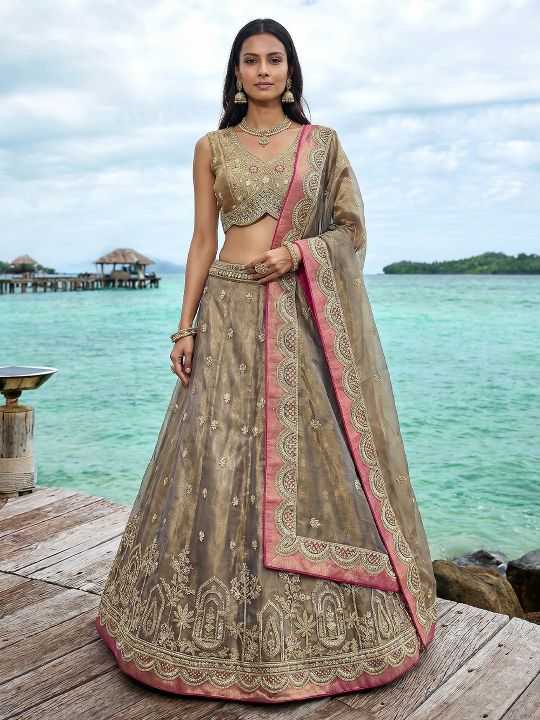 Tissue Embroidered Lehenga