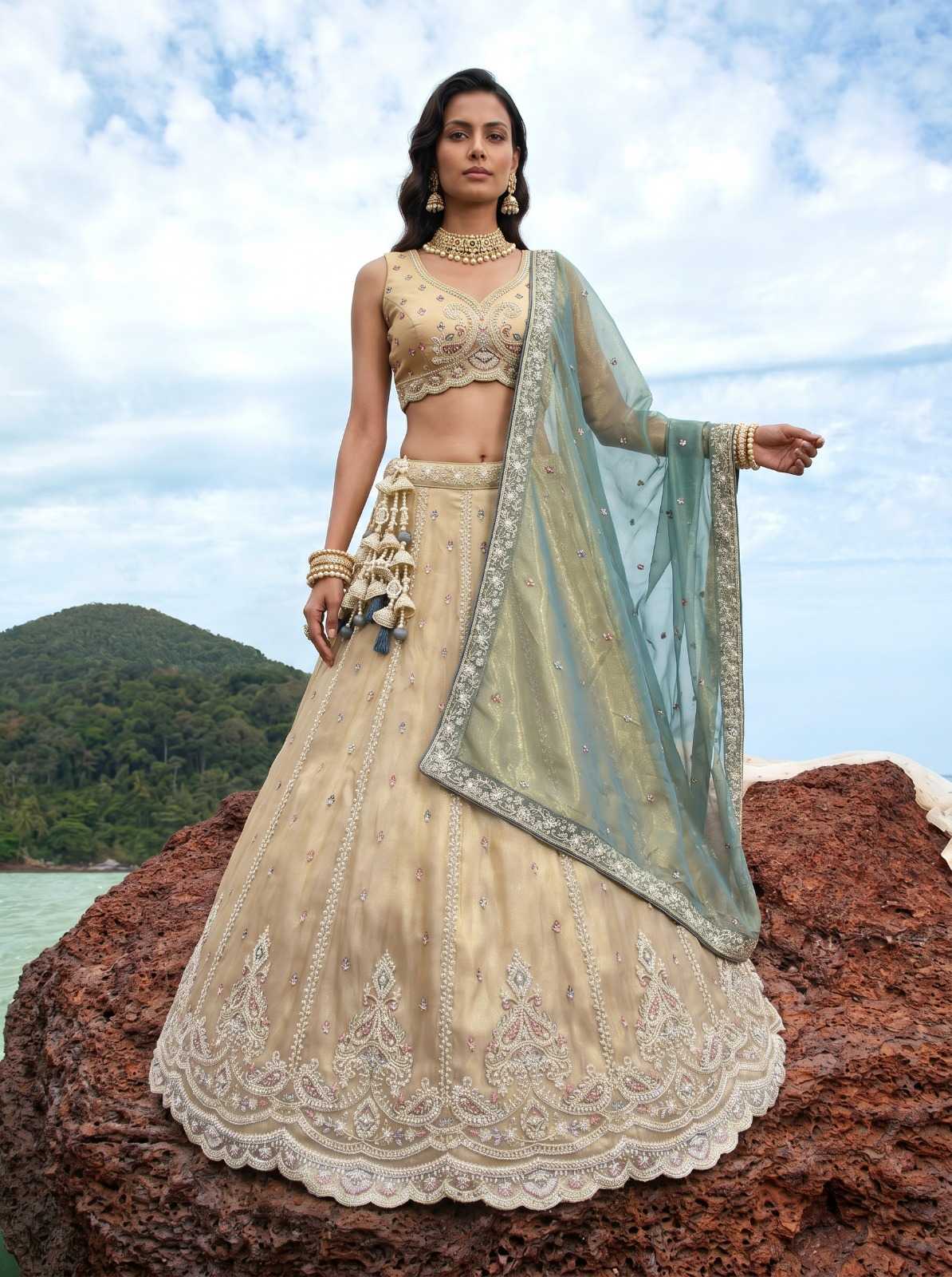 Tissue Embroidered Lehenga