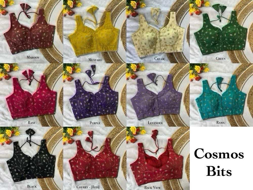 Fancy Sequence Embroidery Blouse