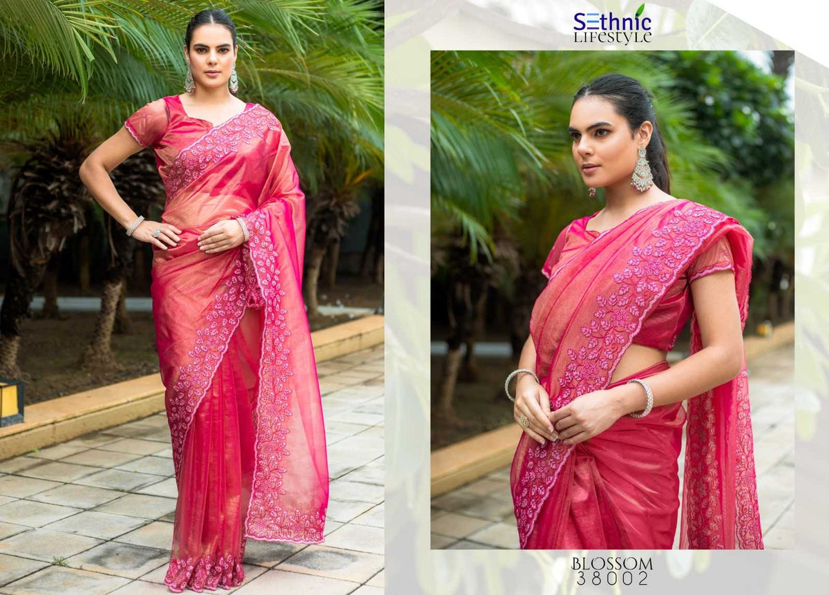 Fancy Sequin Saree
