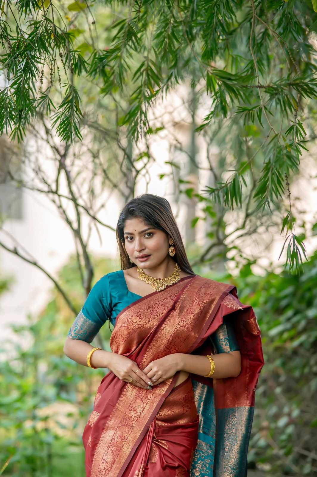 ALL Soft Silk Designer Saree