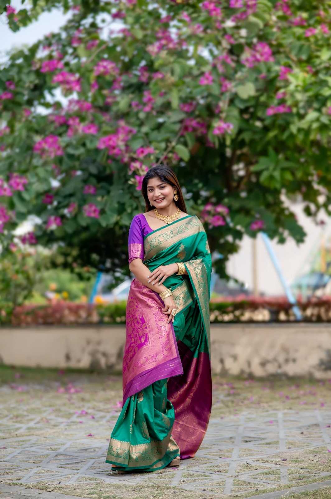 ALL Soft Silk Designer Saree