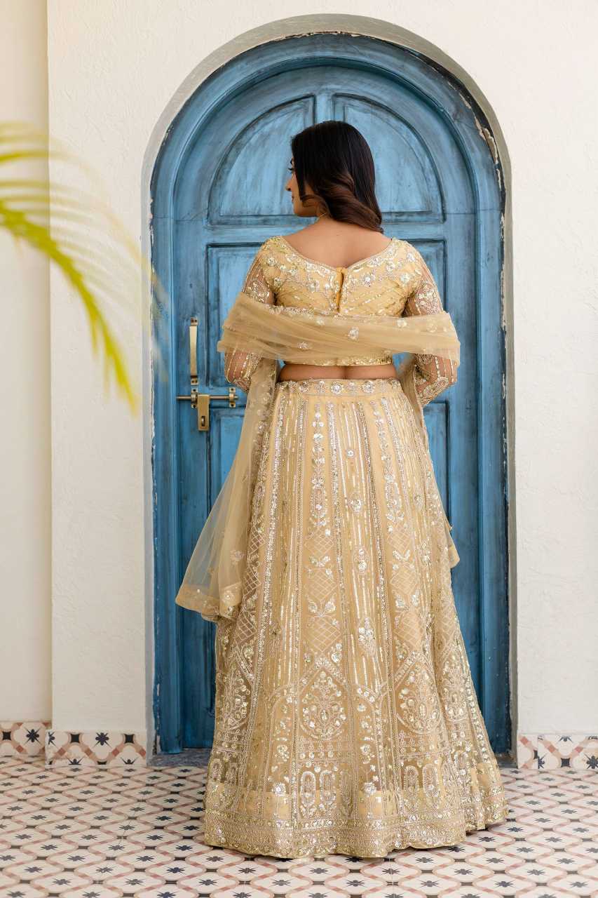 Butterfly Net Embroidered Lehenga