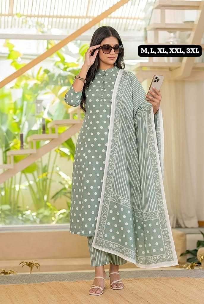 Anindya Cotton Designer Kurti