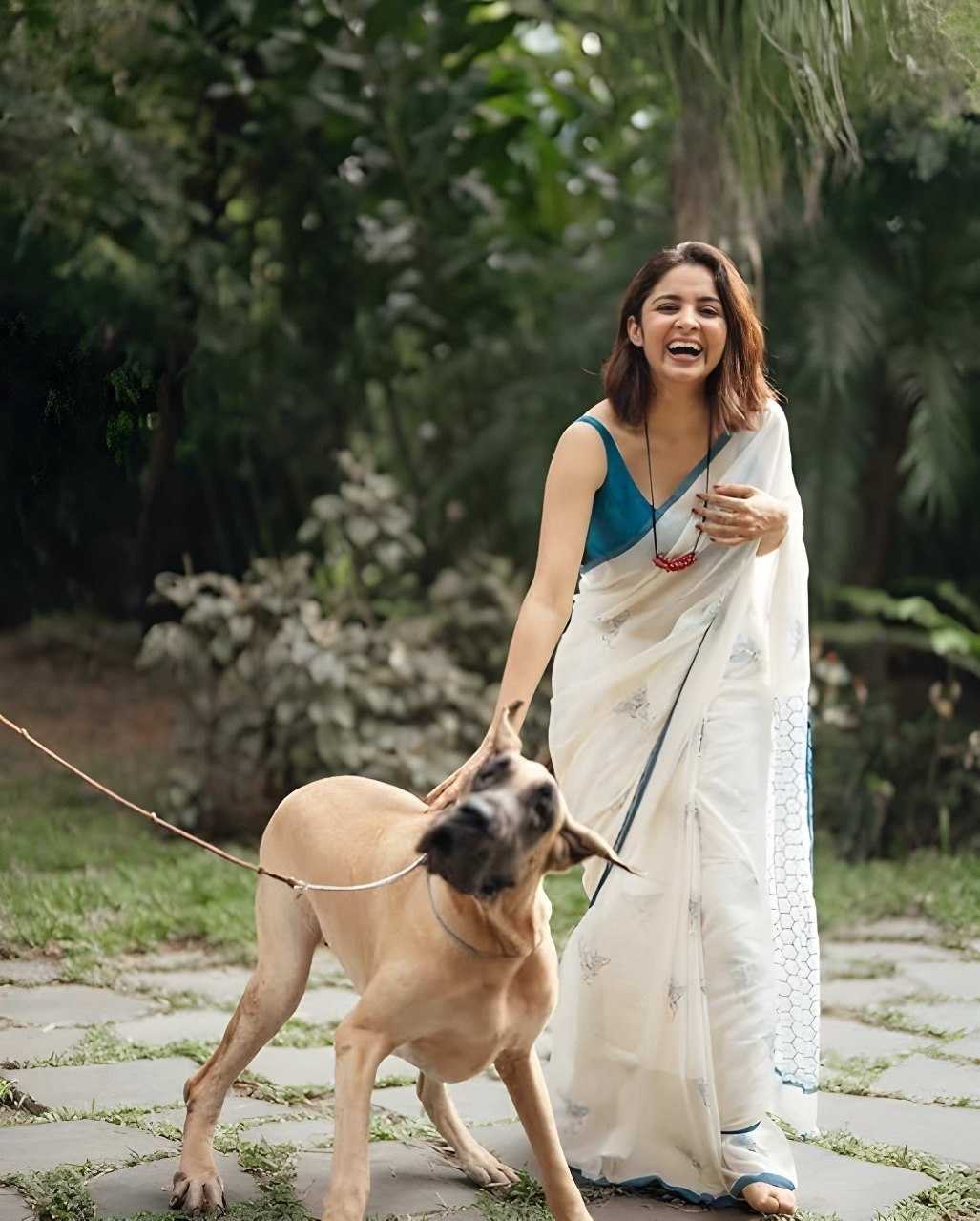 Cotton Saree