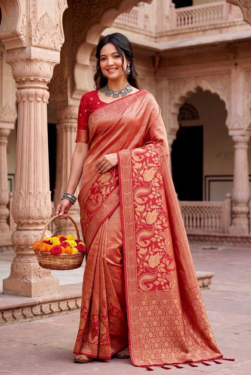 Nylon Designer Saree