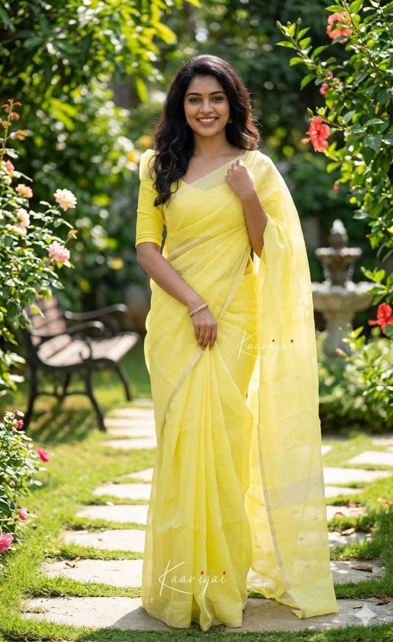 Designer Saree
