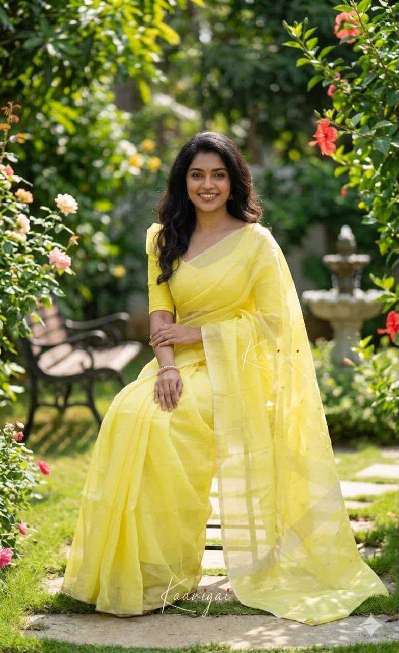 Jacquard Saree