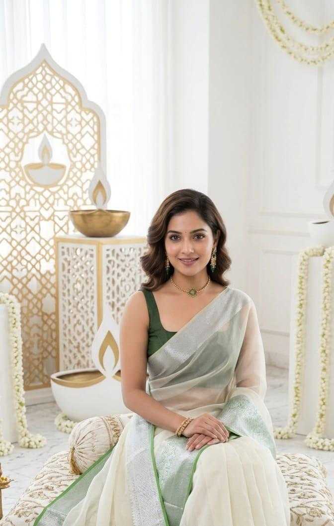 Jacquard Organza Saree