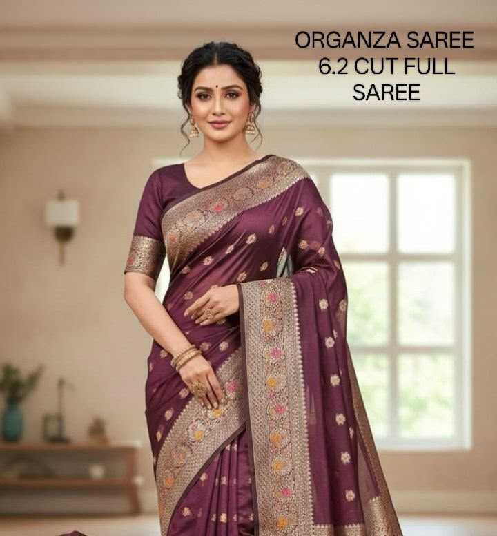 Designer Saree