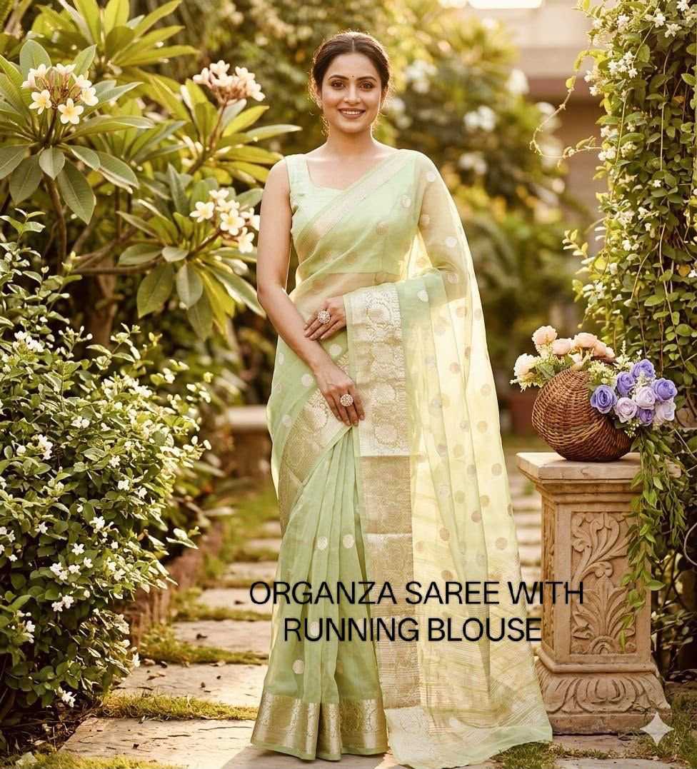 Designer Saree