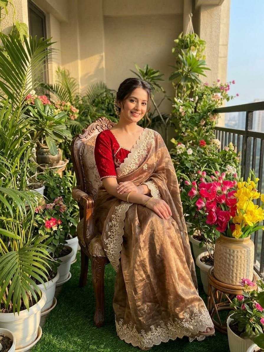 Tissue Silk Pattu Saree