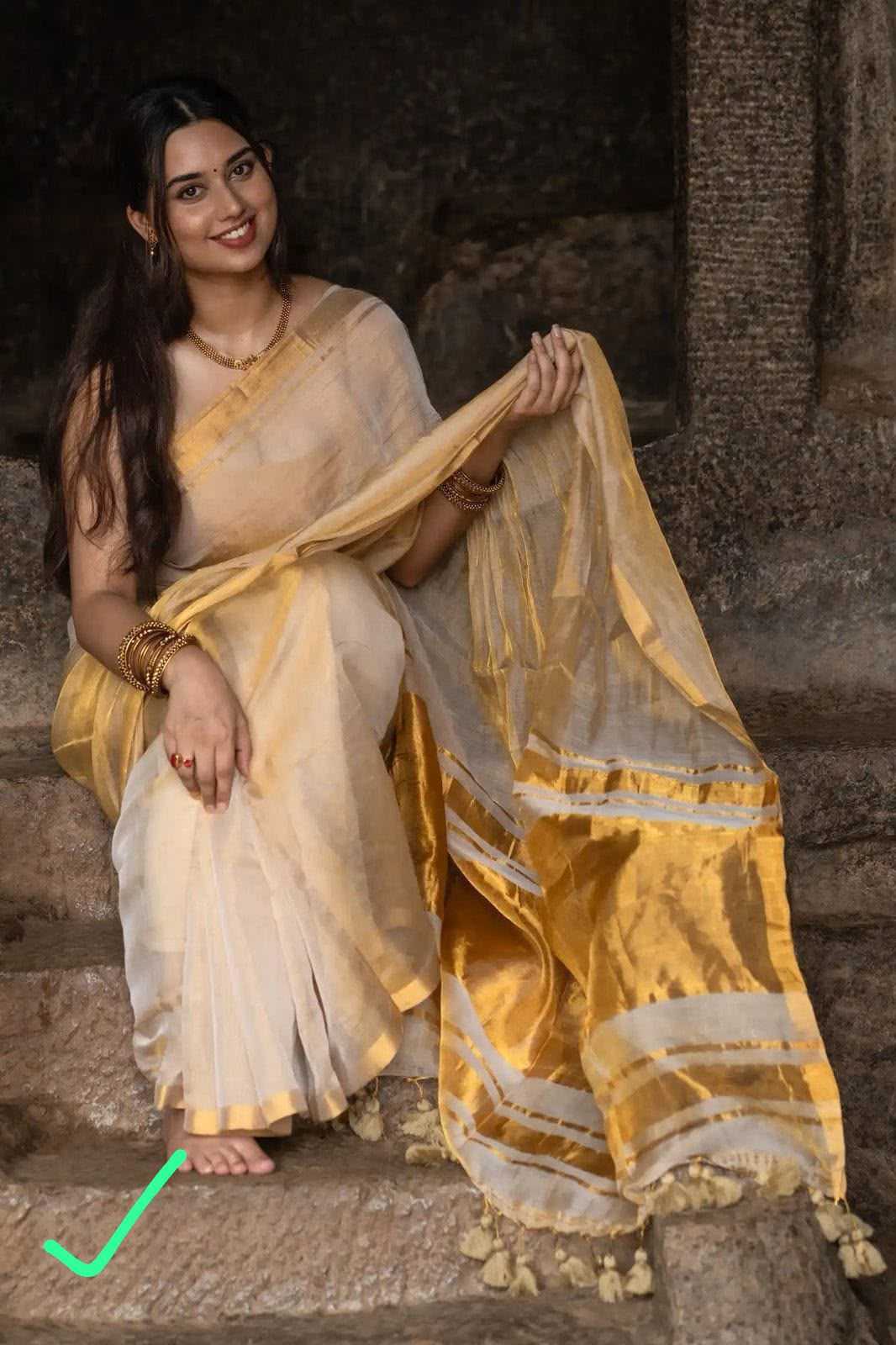 Tissue Silk Zari Border Saree
