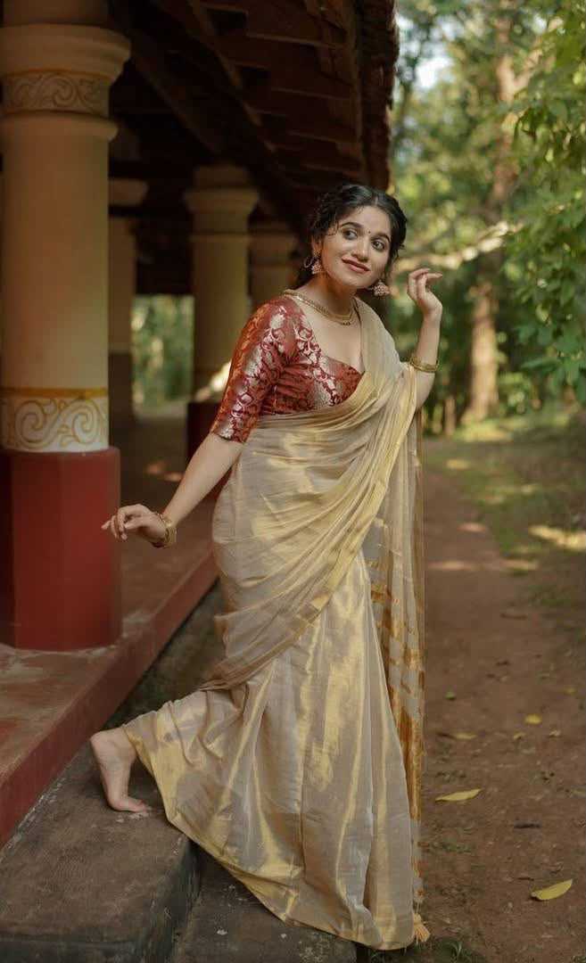 Zari Border Silk Saree
