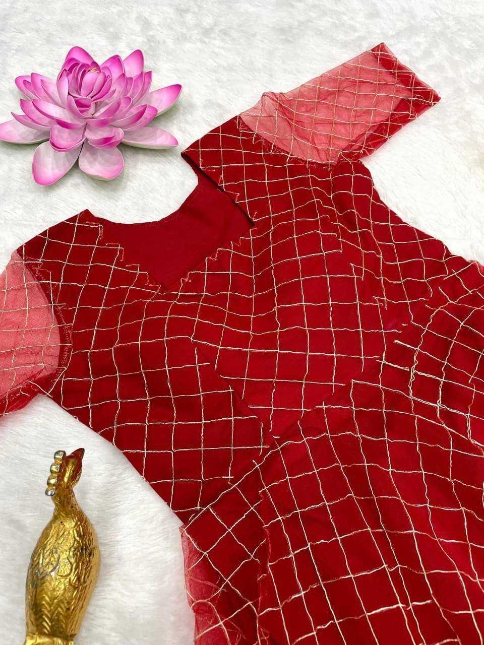 Dhanishta Net Fancy Gown