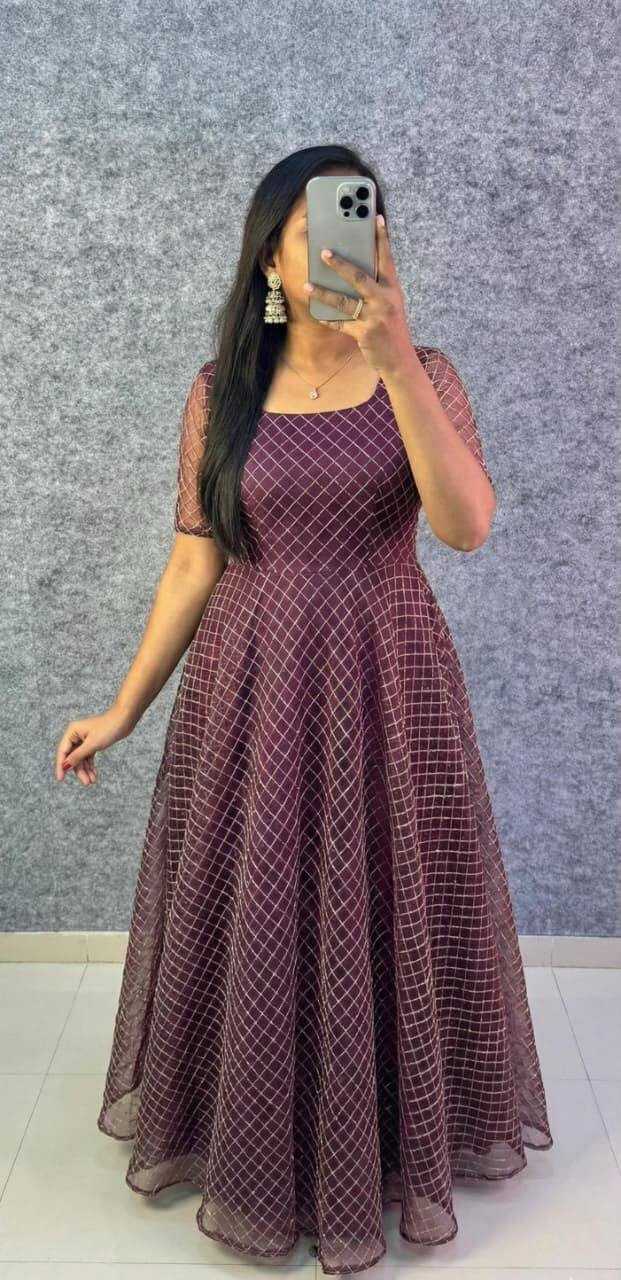 Dhanishta Net Fancy Gown