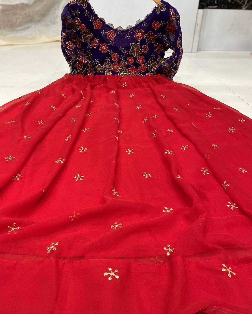 Haimavati Georgette Embroidery Gown
