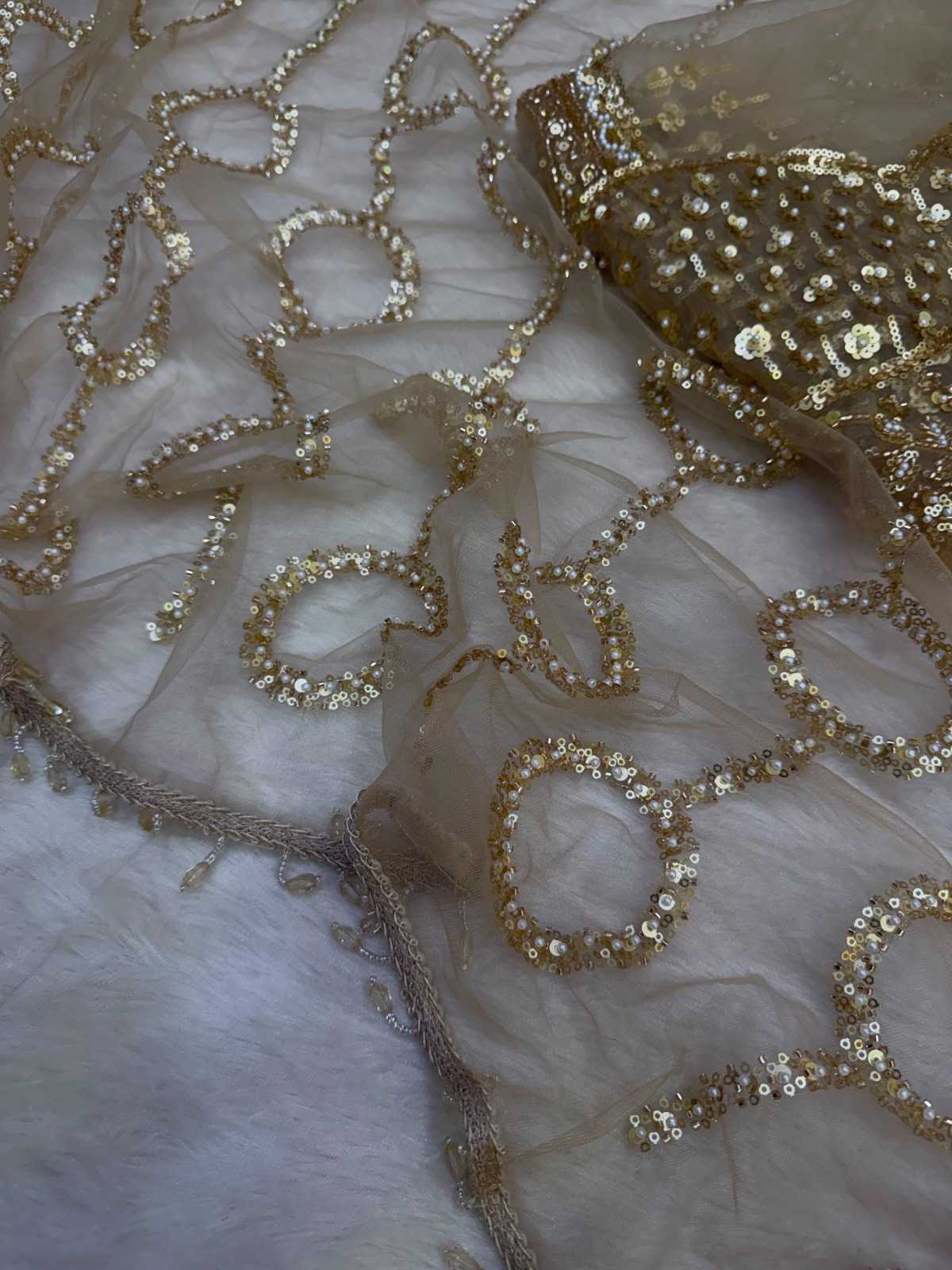 Alka Soft Net Designer Saree