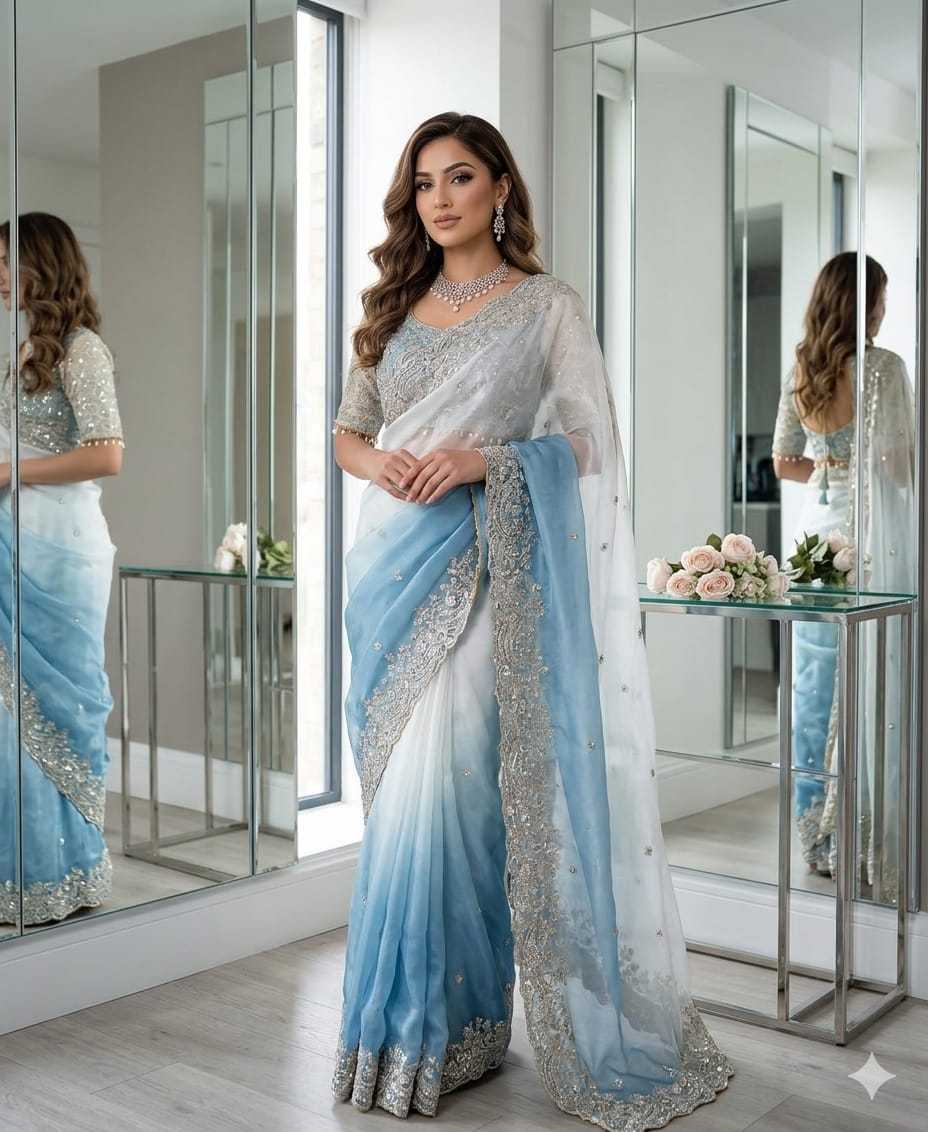 Sinamika Fendy Sequence Saree