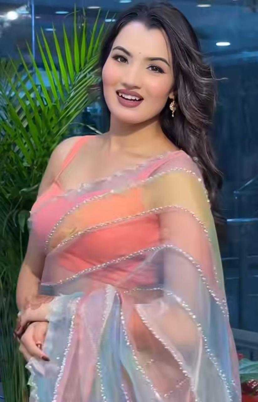Sindur Tabby Silk Organza Designer Saree