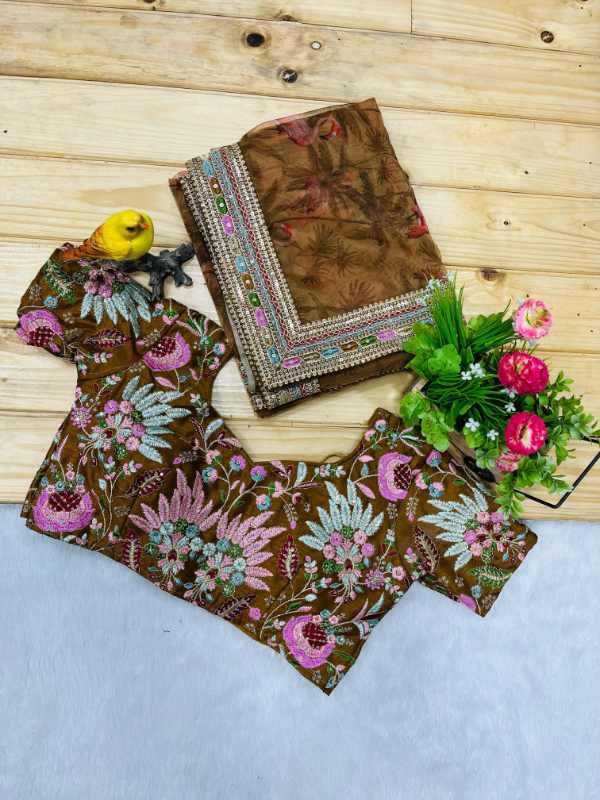 Organza Sequence Saree