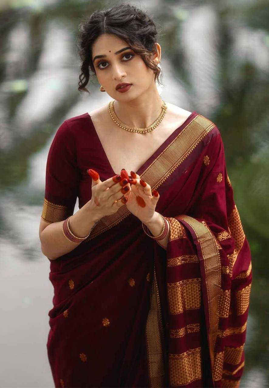 Banarasi Soft Silk Saree