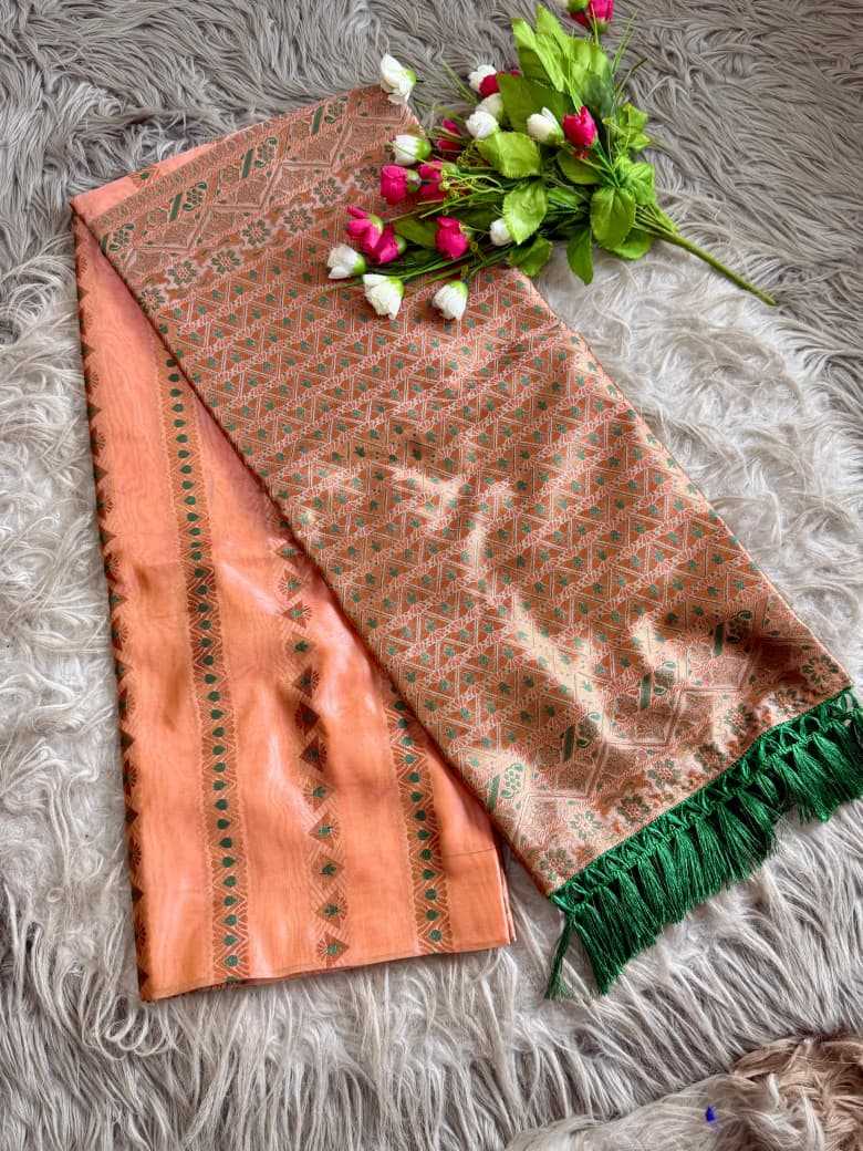 Jimmy Choo Mysore Silk Saree