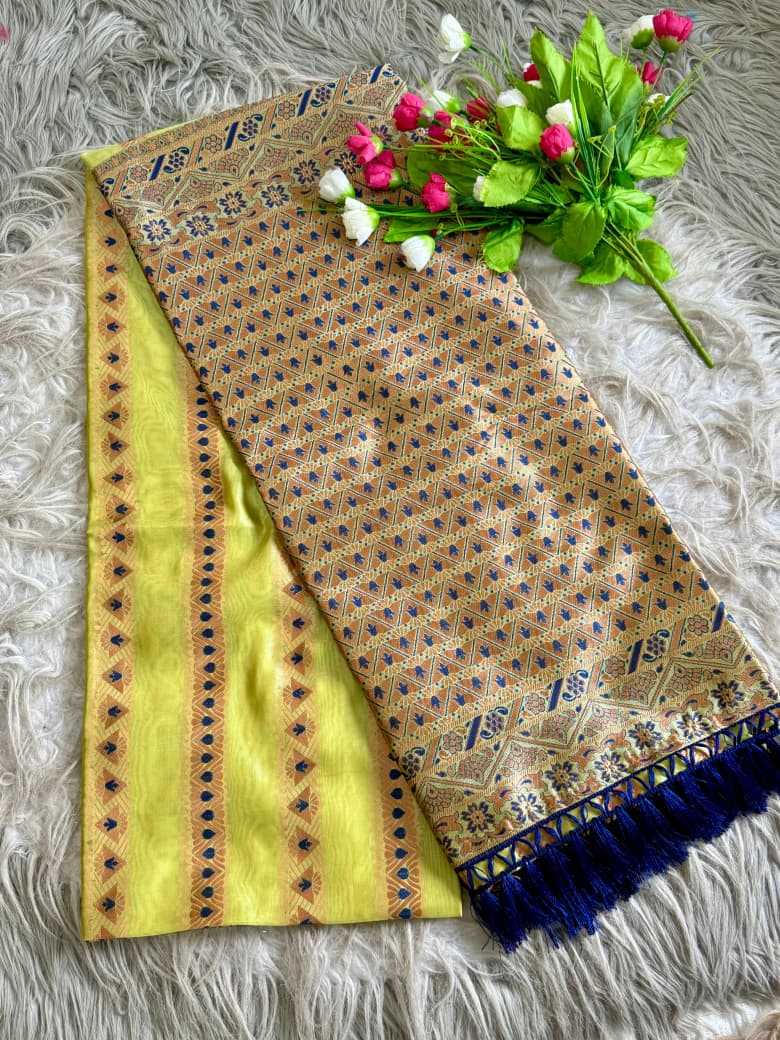 Jimmy Choo Mysore Silk Saree