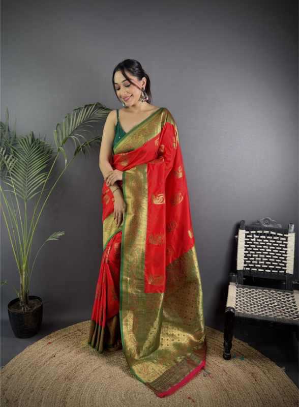 Designer Saree