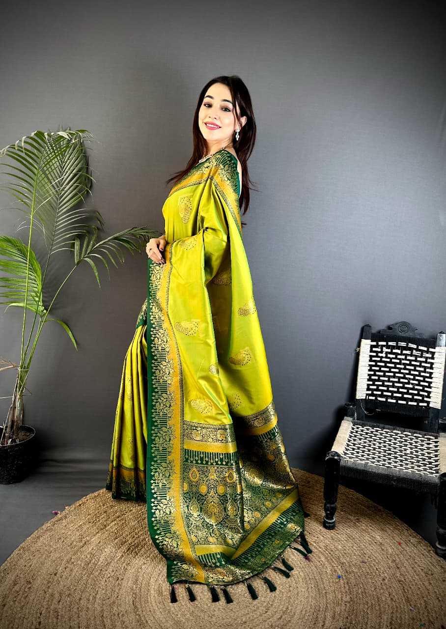Designer Saree