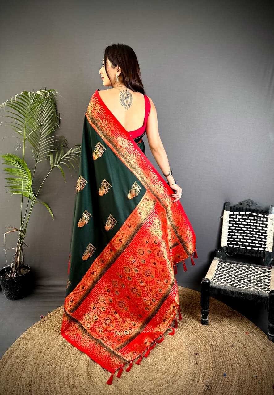 Designer Saree
