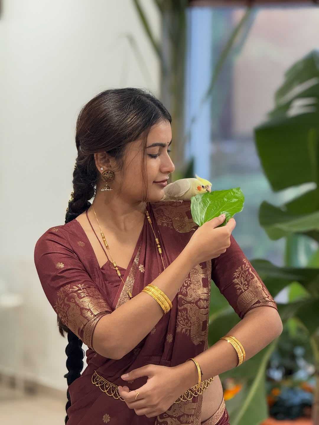 Designer Saree