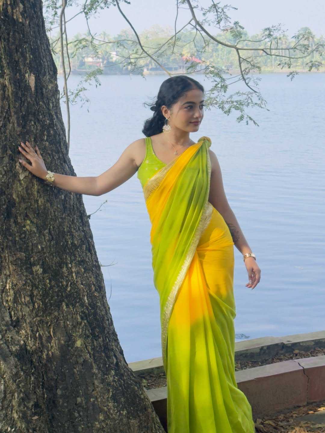 Designer Saree