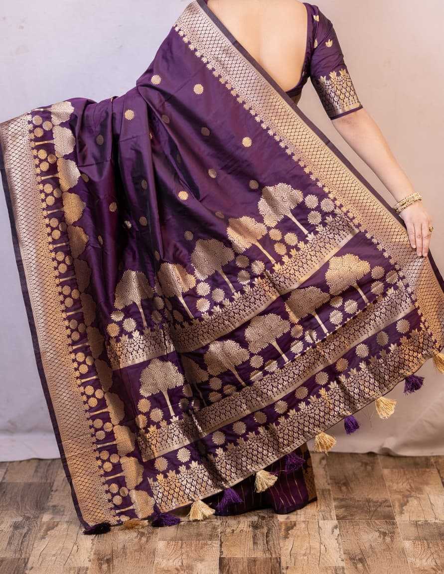 Banarasi Silk Saree