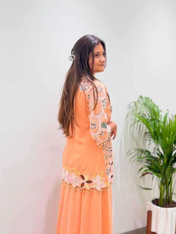 Georgette Embroidery Suit 492