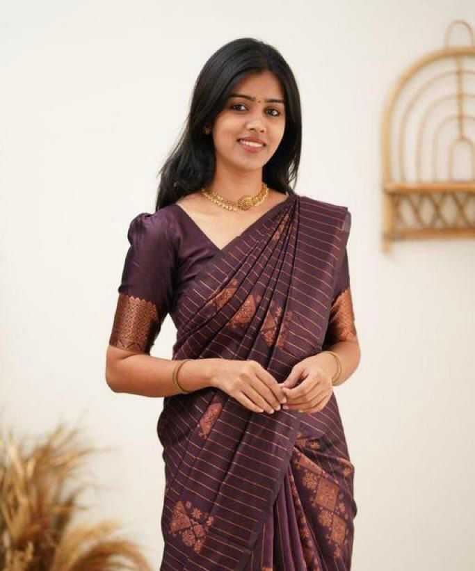 Banarasi Soft Silk Saree