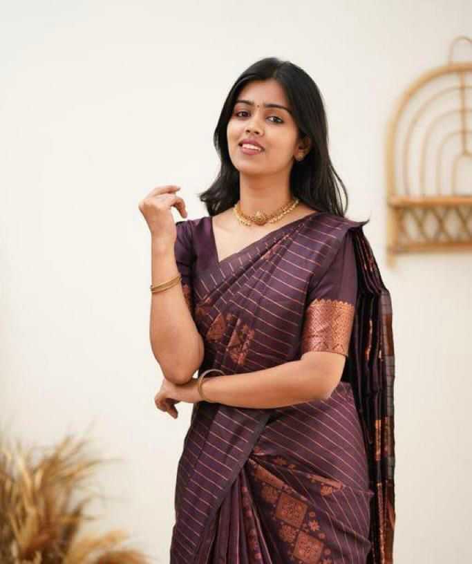 Banarasi Soft Silk Saree