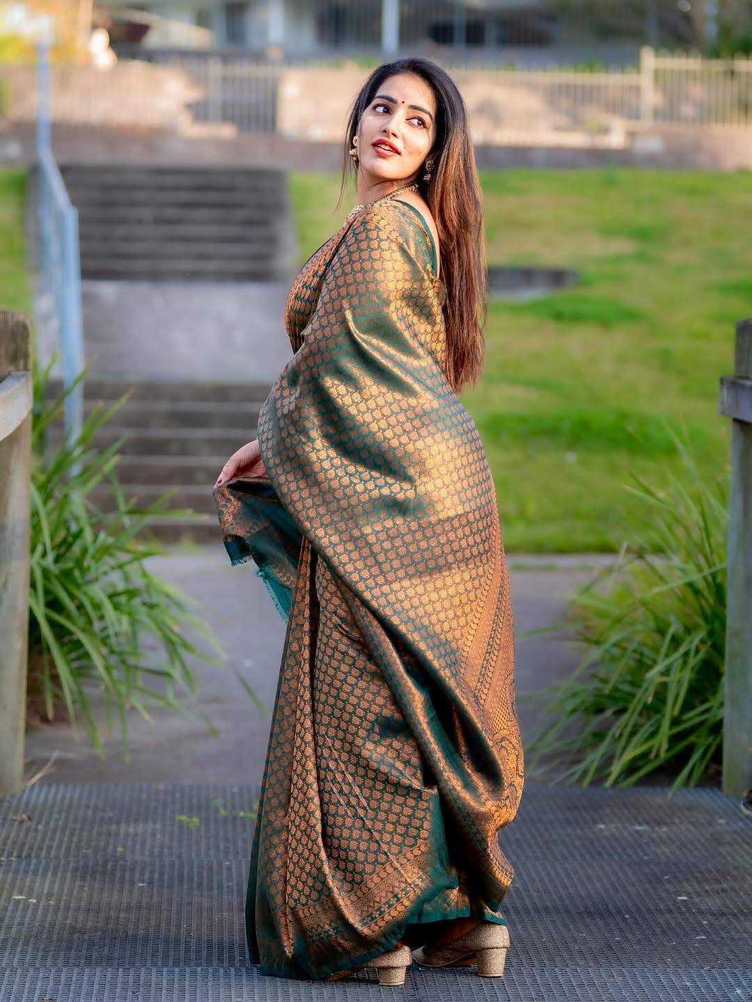 Banarasi Soft Silk Saree