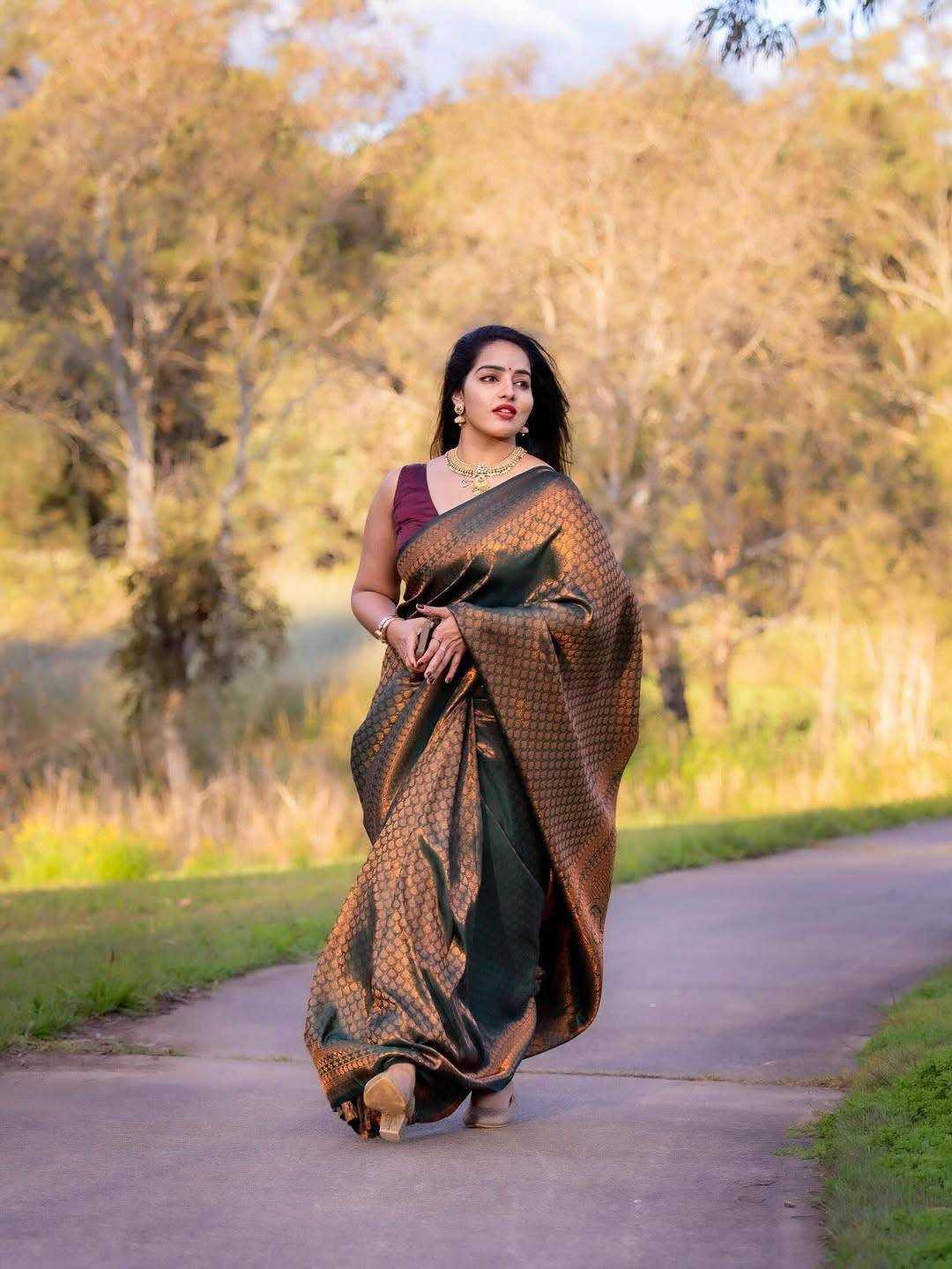 Banarasi Soft Silk Saree