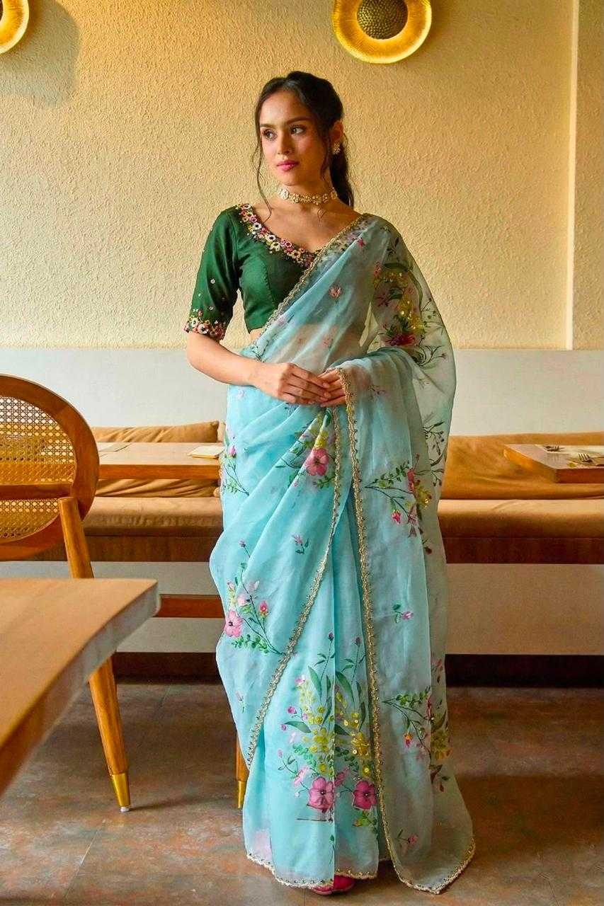 Organza Sequence Saree