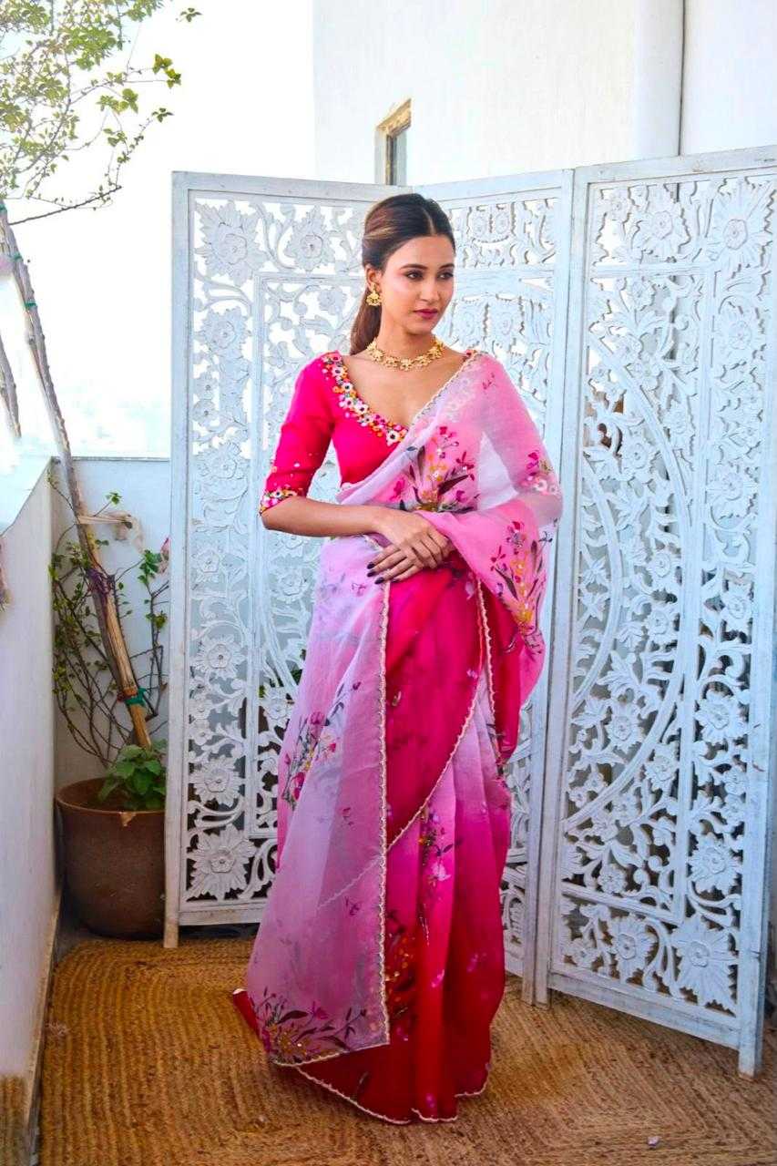 Organza Sequence Saree