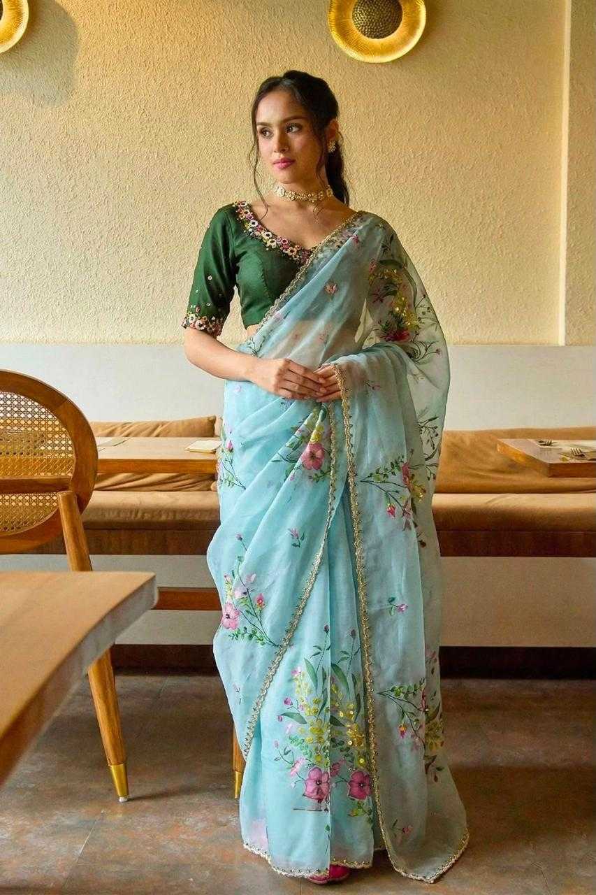 RIC Tabby Silk Organza Saree