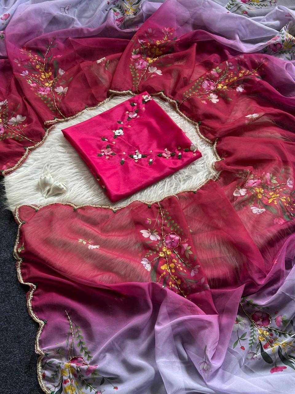 RIC Tabby Silk Organza Saree